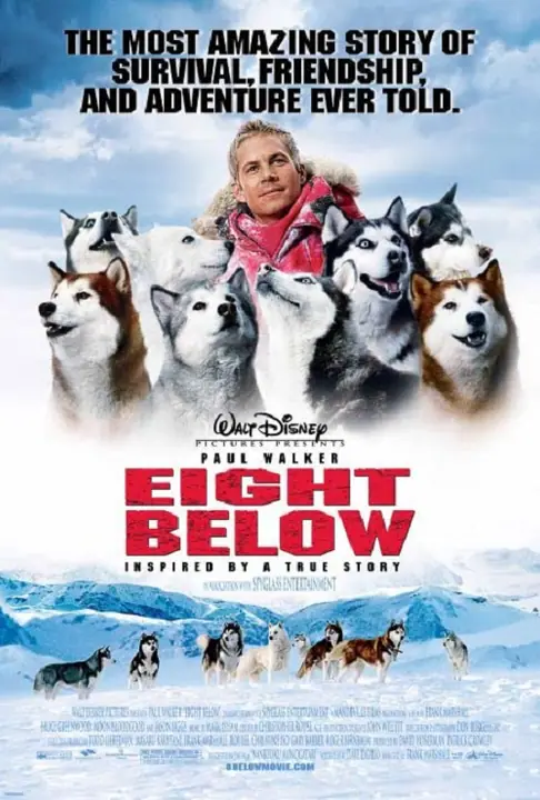 Eight Below ปฏิบัติการ 8 พันธุ์อึดสุดขั้วโลก