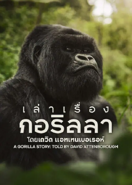 A Gorilla Story เล่าเรื่องกอริลลา โดยเดวิด แอทเทนเบอเรอห์