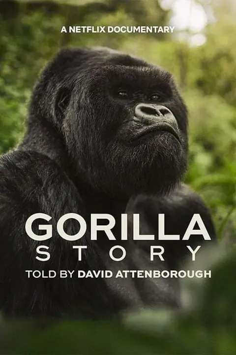 A Gorilla Story Told by David Attenborough เล่าเรื่องกอริลลา โดยเดวิด แอทเทนเบอเรอห์