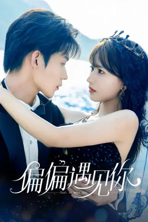 Just To Meet You บังเอิญพบก็เผลอรัก