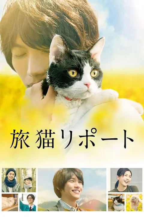 The Travelling Cat Chronicles ผม แมว และการเดินทางของเรา
