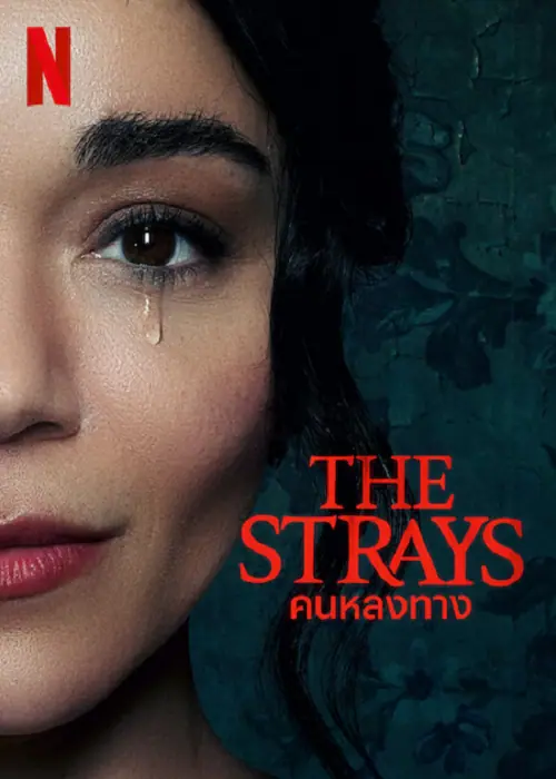 The Strays คนหลงทาง